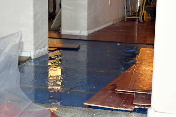 Professional Basement Flood Cleanup technician working in Lipan, TX